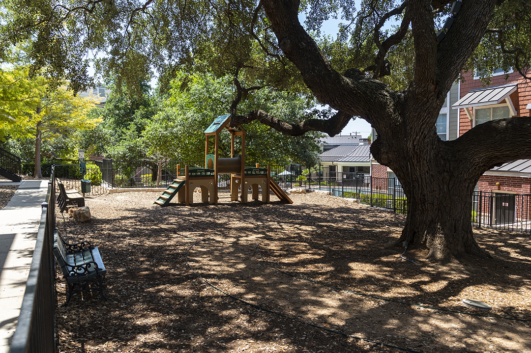 a playground in a park next to a tree