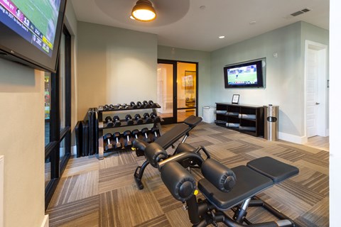 A room with a row of dumbbells and a bench press.