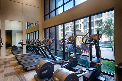 A gym with treadmills and elliptical machines.
