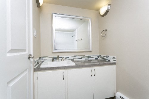 a bathroom with a sink and a mirror