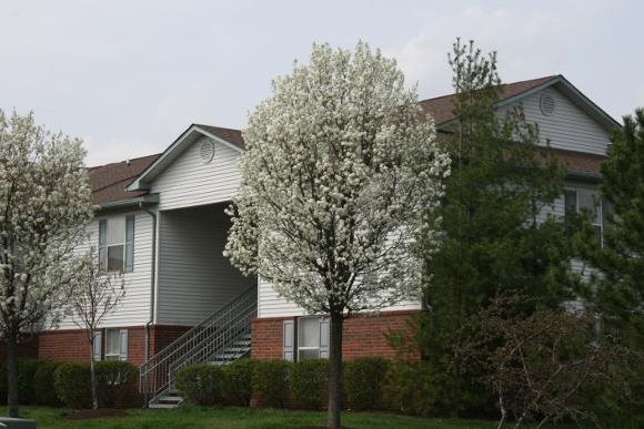 Photos And Video Of Meadow Ridge Apartments In West