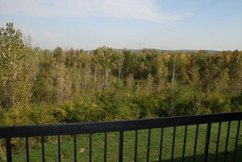 5384 Blossom St. 1-3 Beds Apartment, Affordable for Rent - Photo Gallery 2