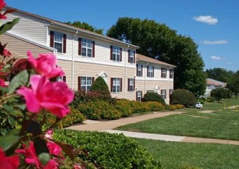 6110 Cricklewood Drive 2-3 Beds Apartment, Affordable for Rent - Photo Gallery 3