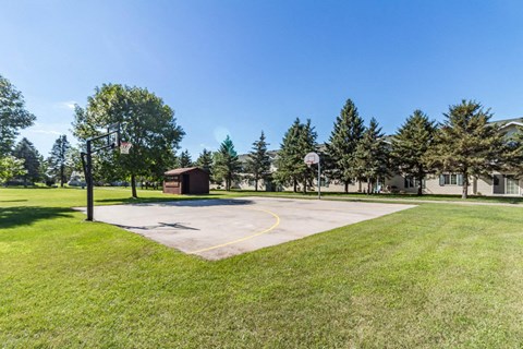 A basketball court is surrounded by a grassy area and trees.