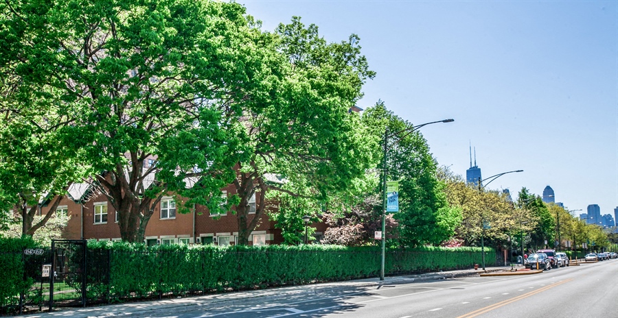 a city street with trees and buildings in the background