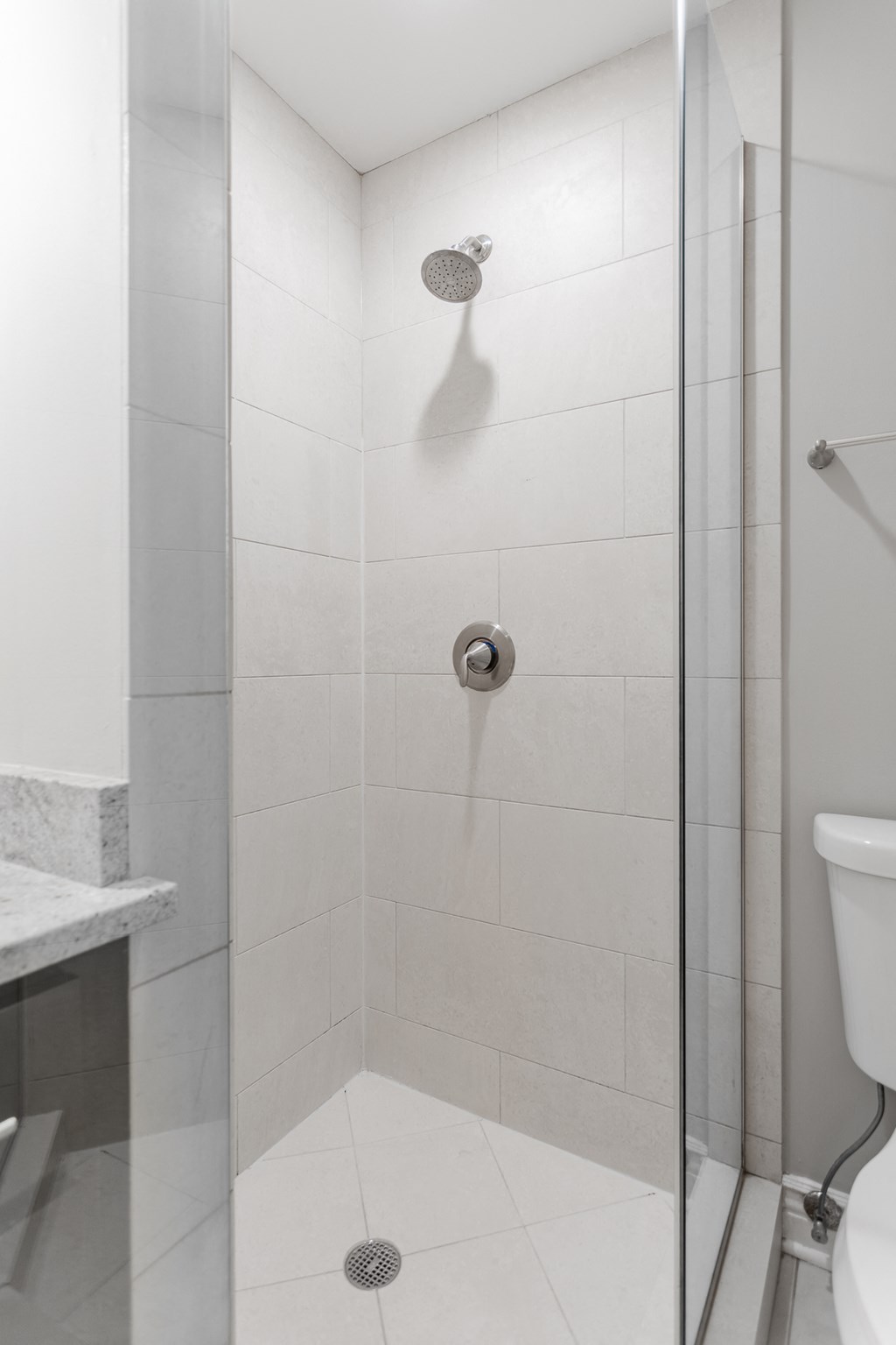 a white bathroom with a shower and a toilet