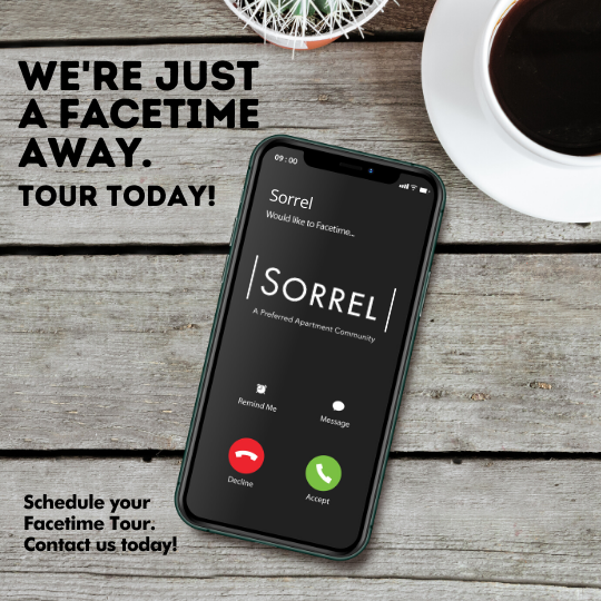 12001 Abess Boulevard 1-3 Beds Apartment for Rent - Photo Gallery 1