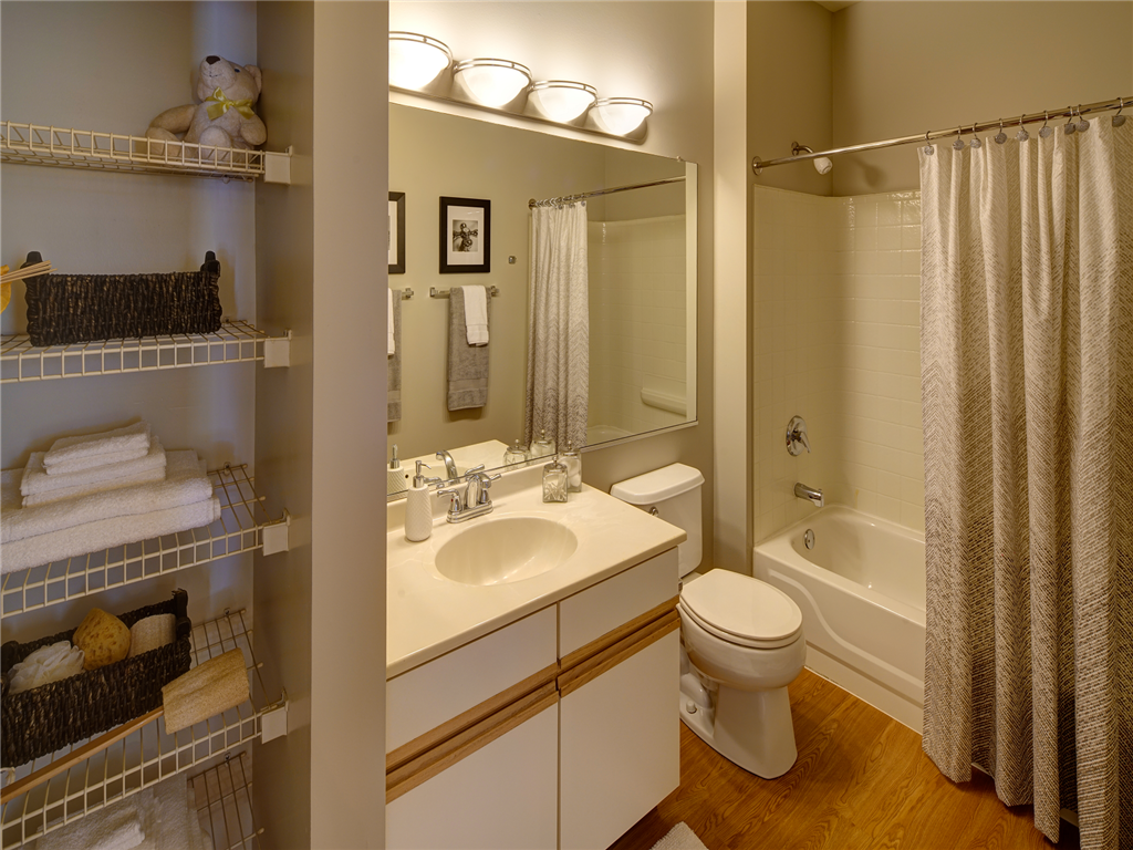 a bathroom with a sink and a toilet and a shower
