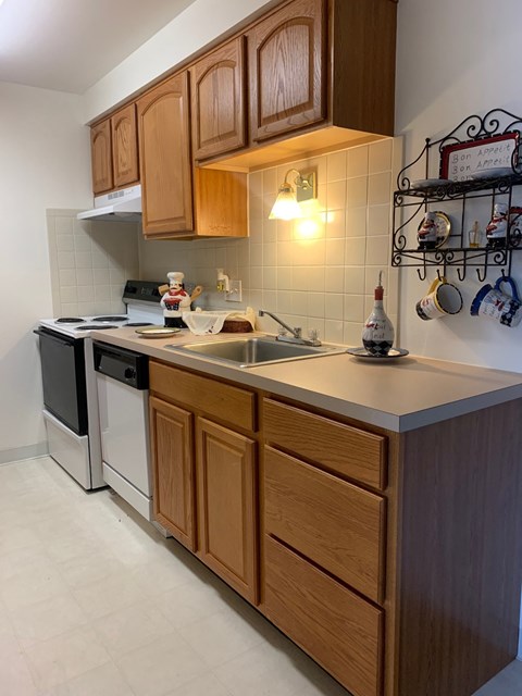 a kitchen with a sink and a dishwasher and a counter top