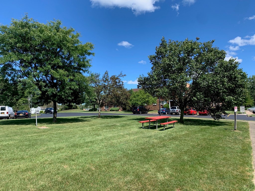 a picnic table in the middle of a park