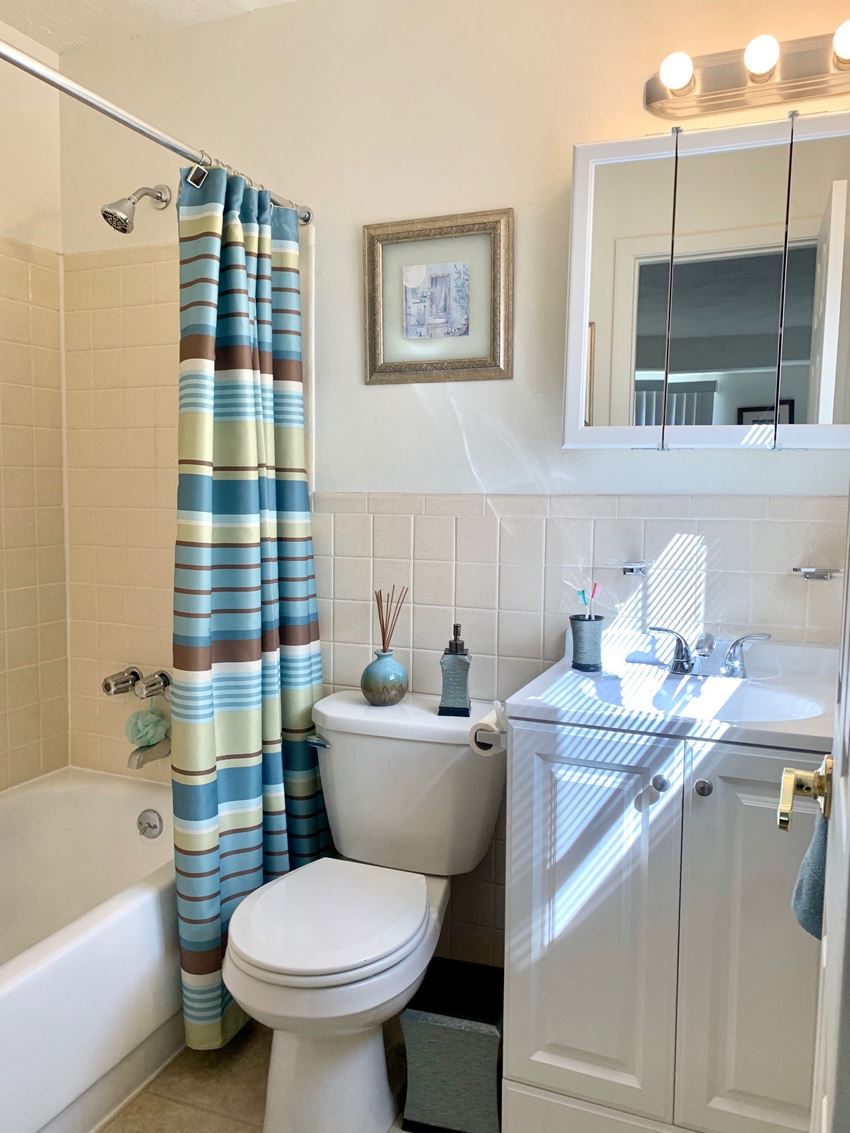 Winton Village Apartments, 3242 S Winton Rd, Rochester, NY RentCafe