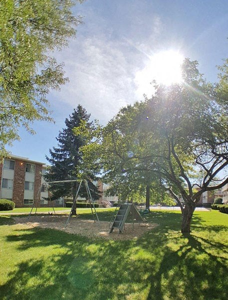 Sun Light on Beautiful Lawn at Winton Village Apartments, Rochester, 14623