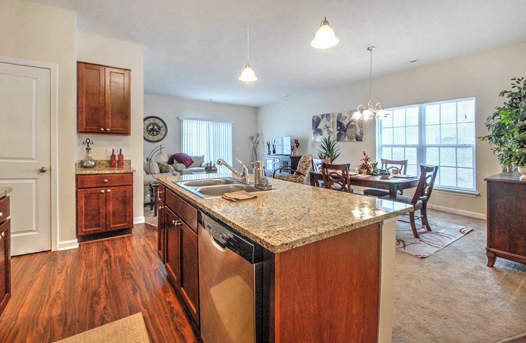 Double Stainless Steel Sink at Townhomes at Pleasant Meadows, Lancaster, NY 14086