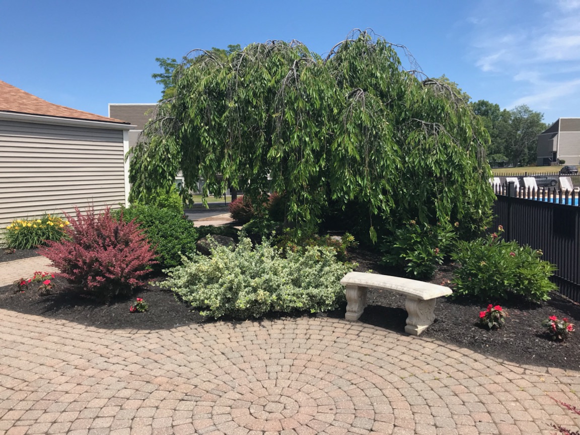 Outside Garden at Whitney Ridge Apartments, Rochester, NY