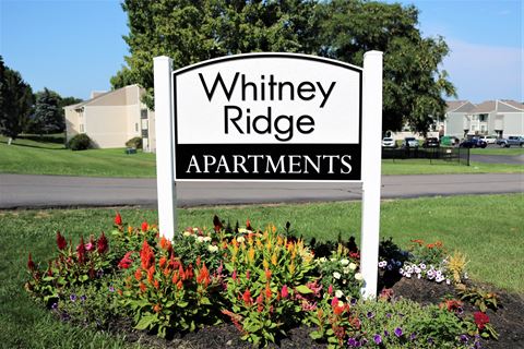 a sign for whiny ridge apartments in front of flowers