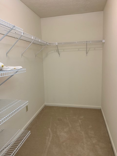 a walk in closet with shelves and a carpeted floor