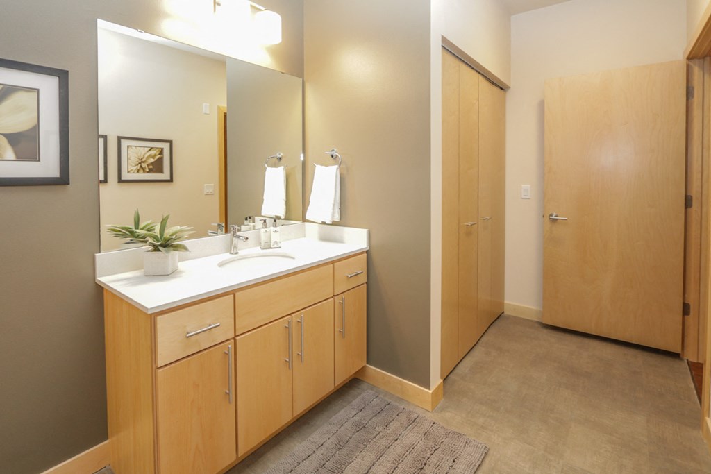 a bathroom with a sink and mirror and a closet