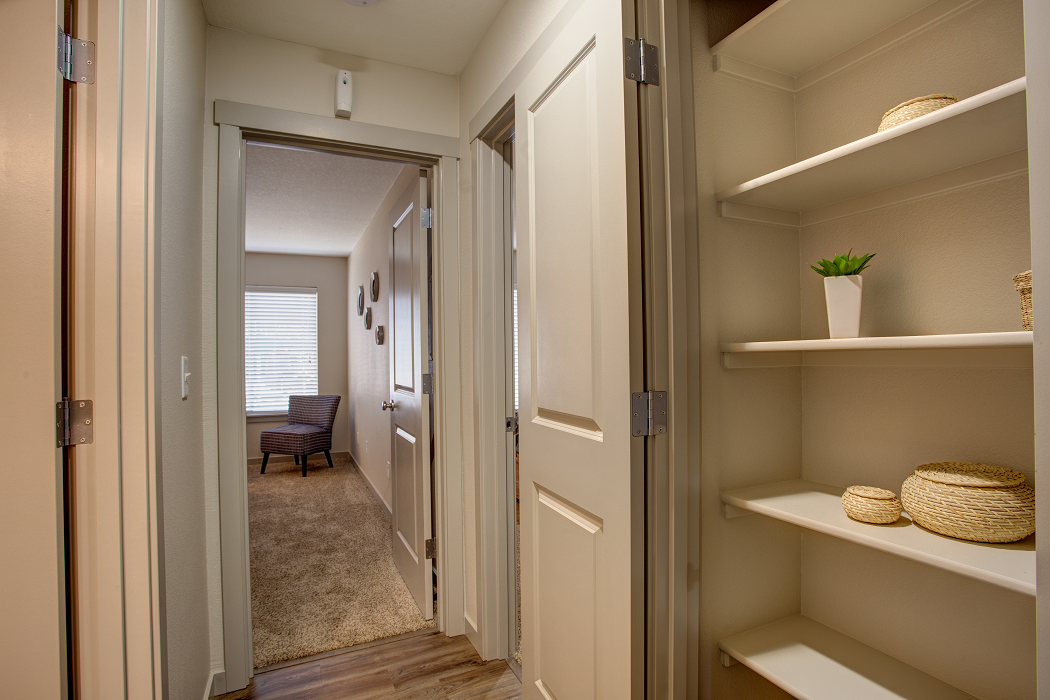 a walk in closet with shelves and a door to a living room