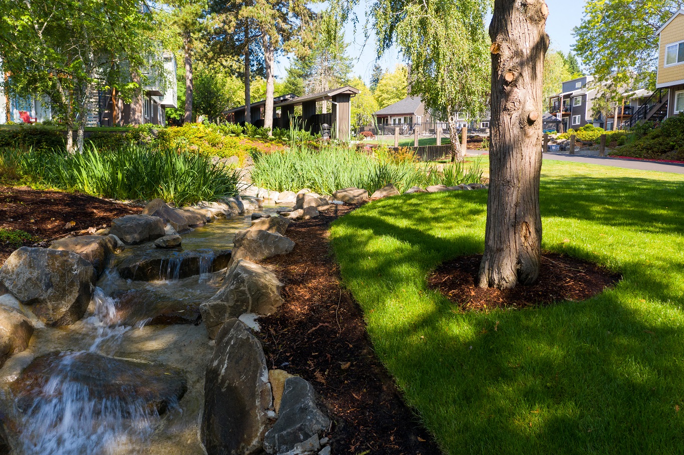 a creek running through a yard next to a tree