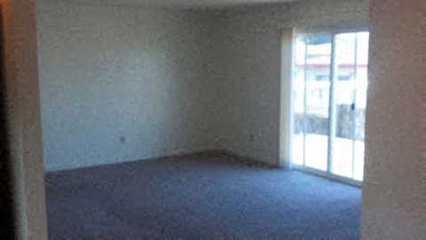 A room with a carpeted floor and a window.