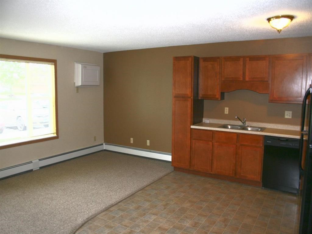 an empty kitchen with wooden cabinets and a sink