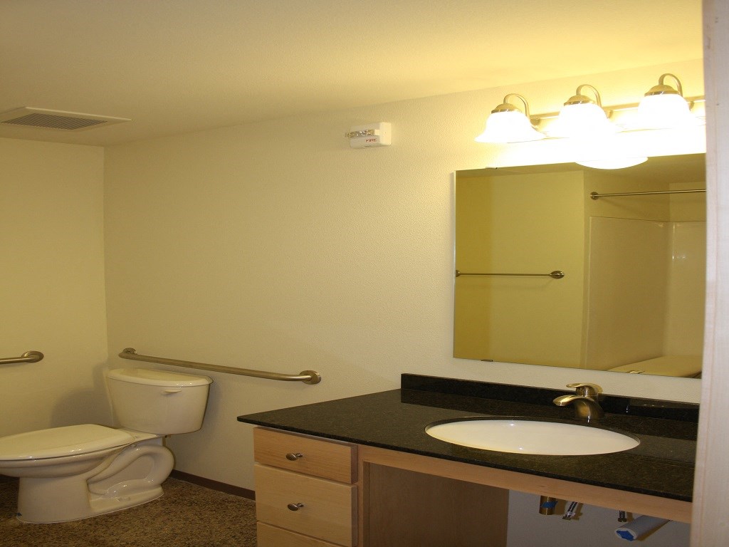 a bathroom with a sink and a toilet and a mirror