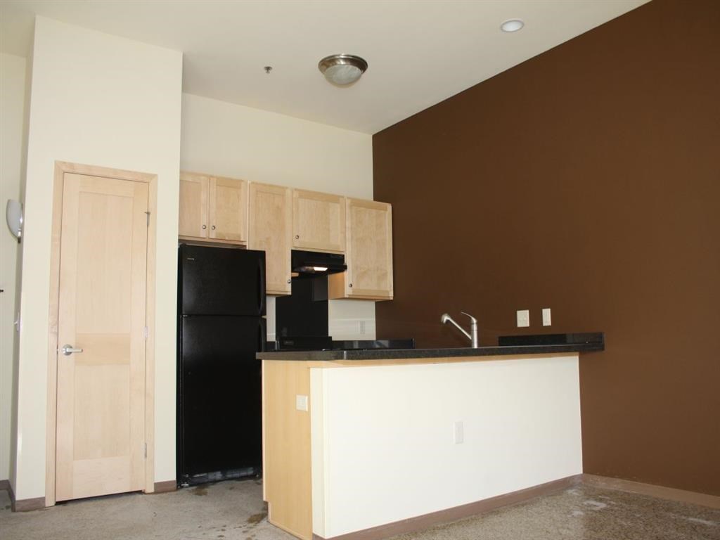 a kitchen with a black refrigerator and a counter top