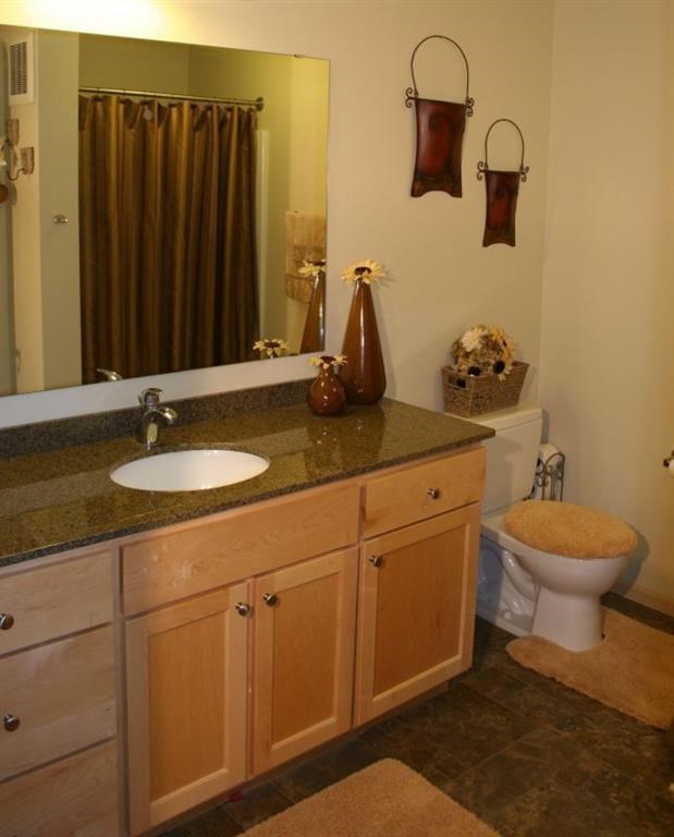 a bathroom with a sink and a toilet and a mirror