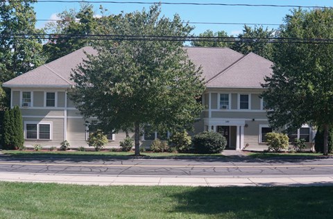A house with a grey roof and a tree in front of it.