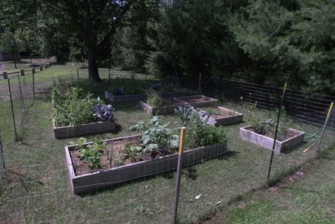 a garden with many plots of plants in the grass