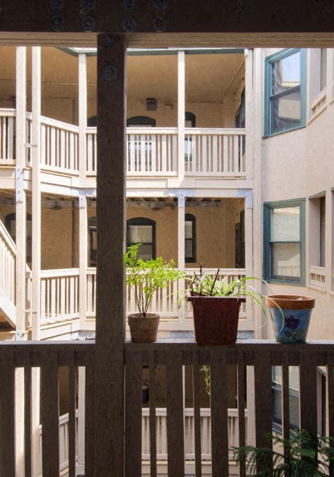 two potted plants sitting on a wooden balcony