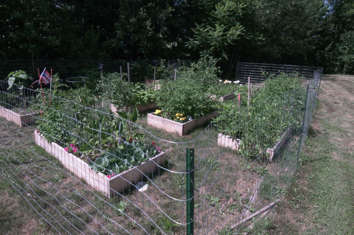 a garden with many boxes of plants and a fence