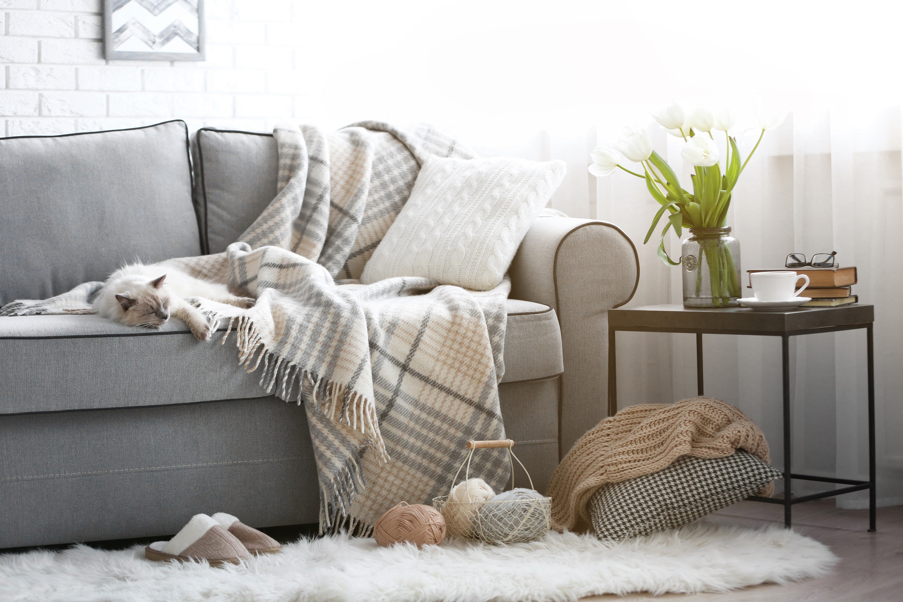 A cozy living room with a grey couch covered in a plaid blanket and pillows.