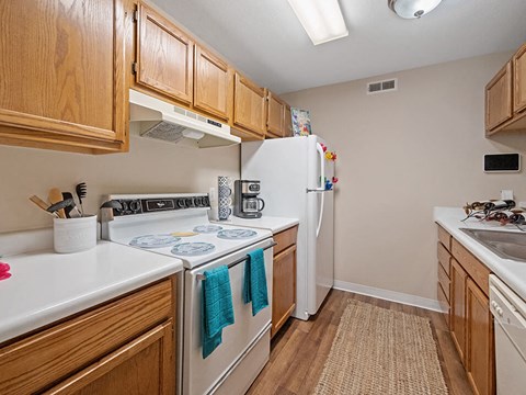 a kitchen with a stove and a refrigerator
