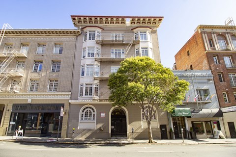 A tree in front of a building with a balcony.
