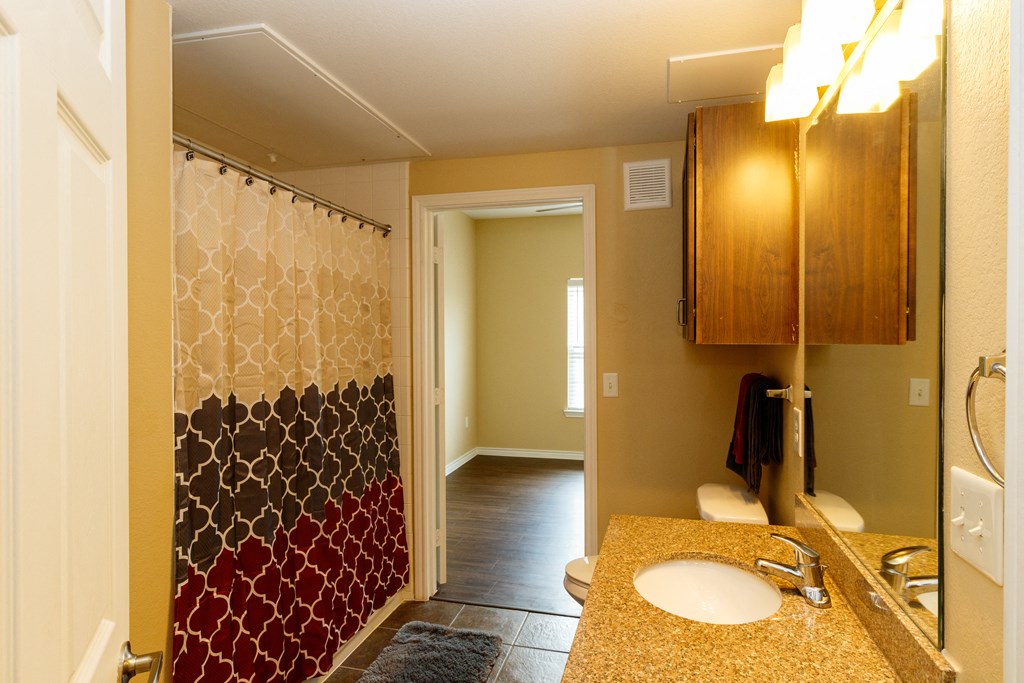 a bathroom with a sink and a shower