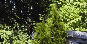 Best Cheap Apartments In Hampton Bays Ny 1 Rentals Rentcafe