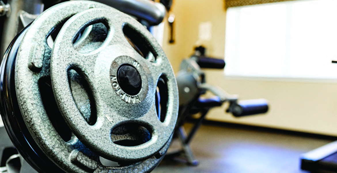 free weights on the stand at Heatherwood House at Port Jefferson, Port Jeff Station, New York