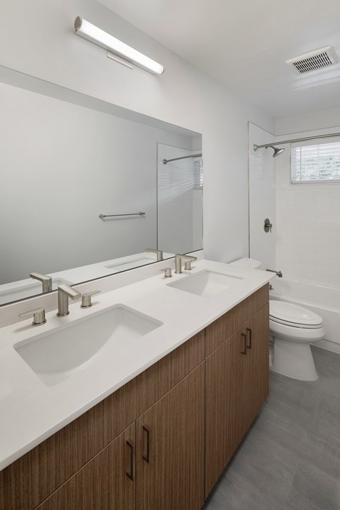 a bathroom with a sink and a mirror and a toilet