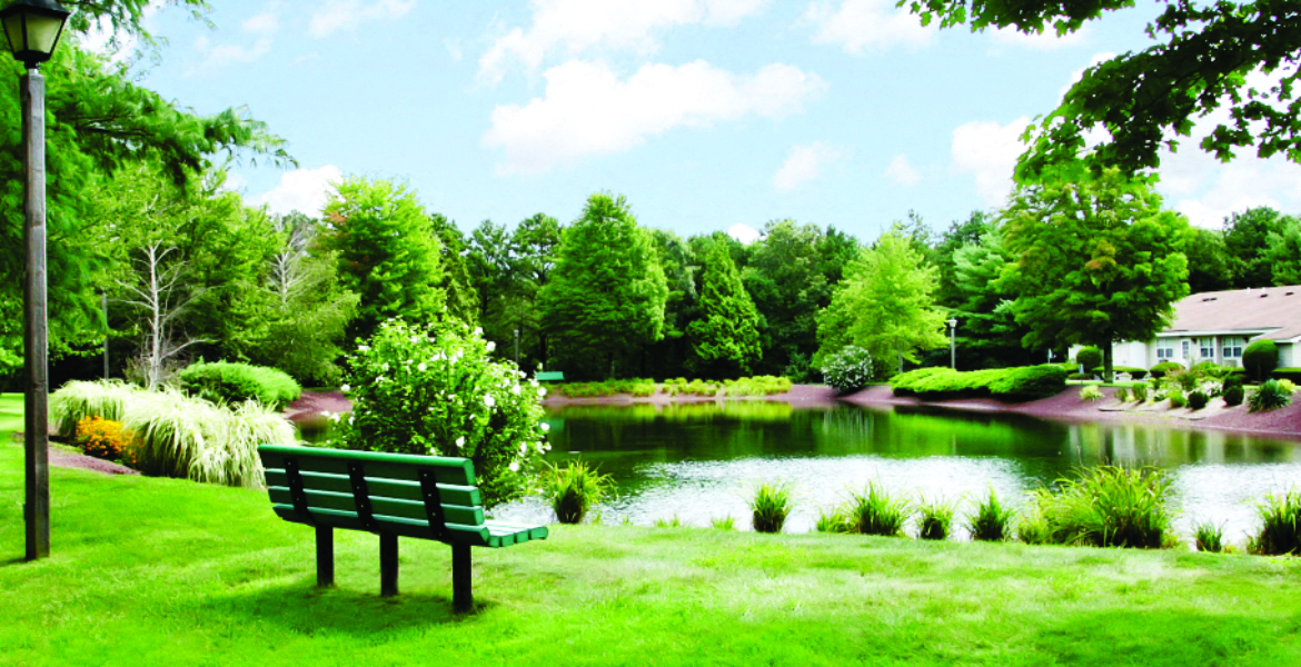 cozy bench by the pond  at Pine Hills South, New York, 11955