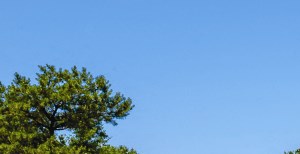 Lake View Lake View at Spruce Pond, Holbrook - Photo Gallery