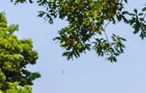 Villas At Pine Hills Luxury Rentals Apartments For Rent
