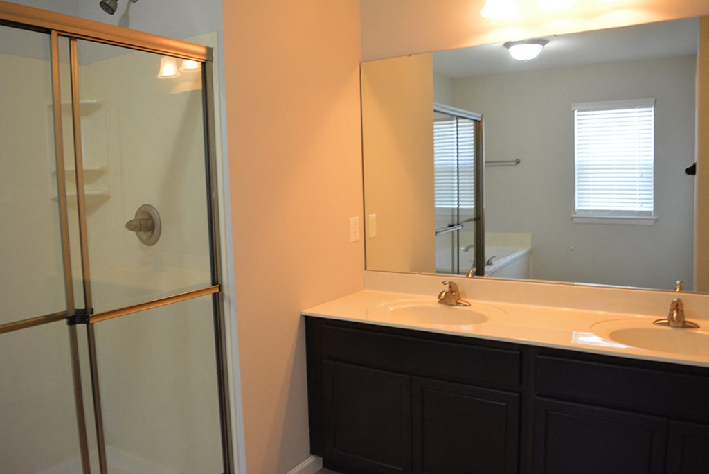 a bathroom with a sink and a shower and a mirror