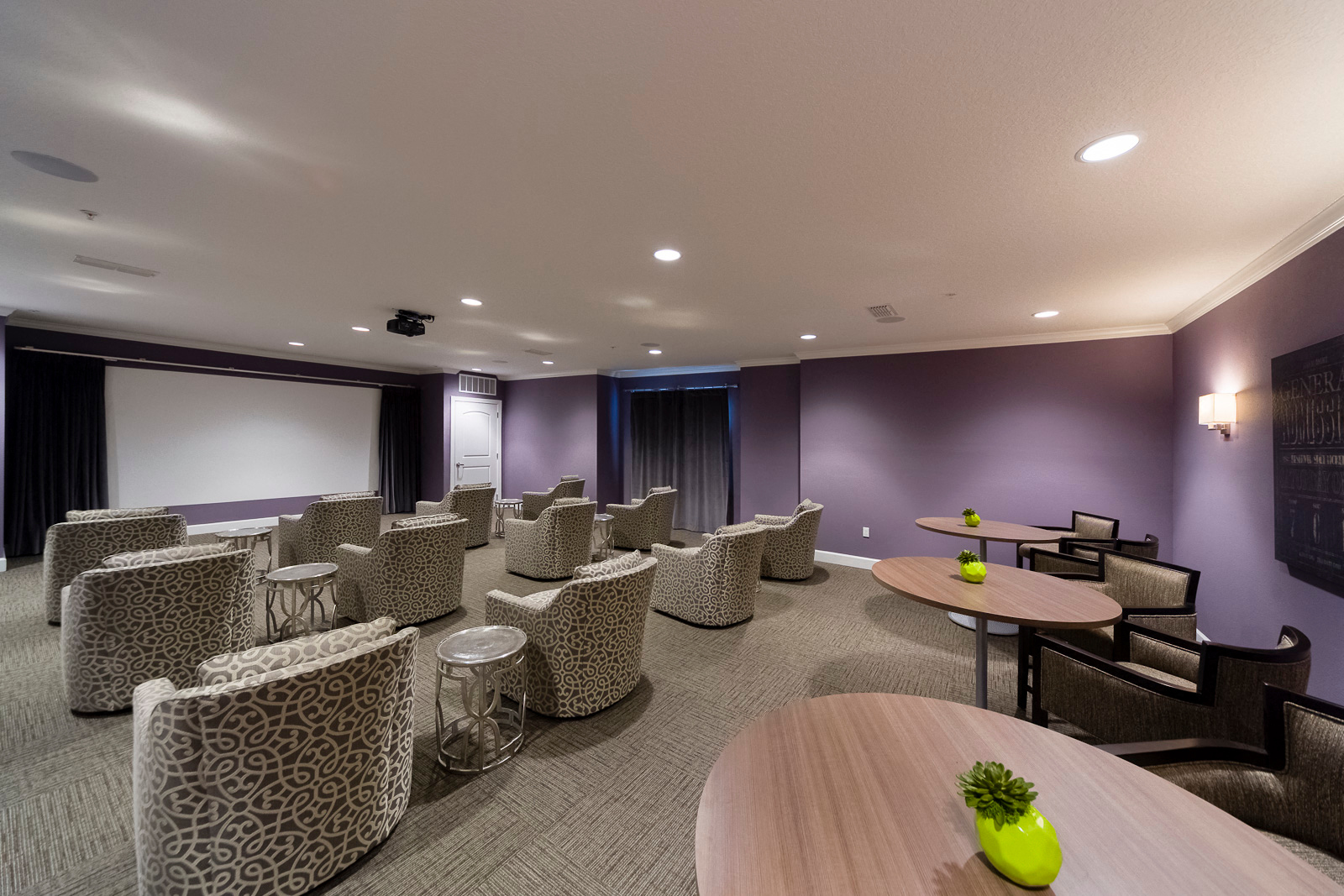 Mary Eaves Movie Room