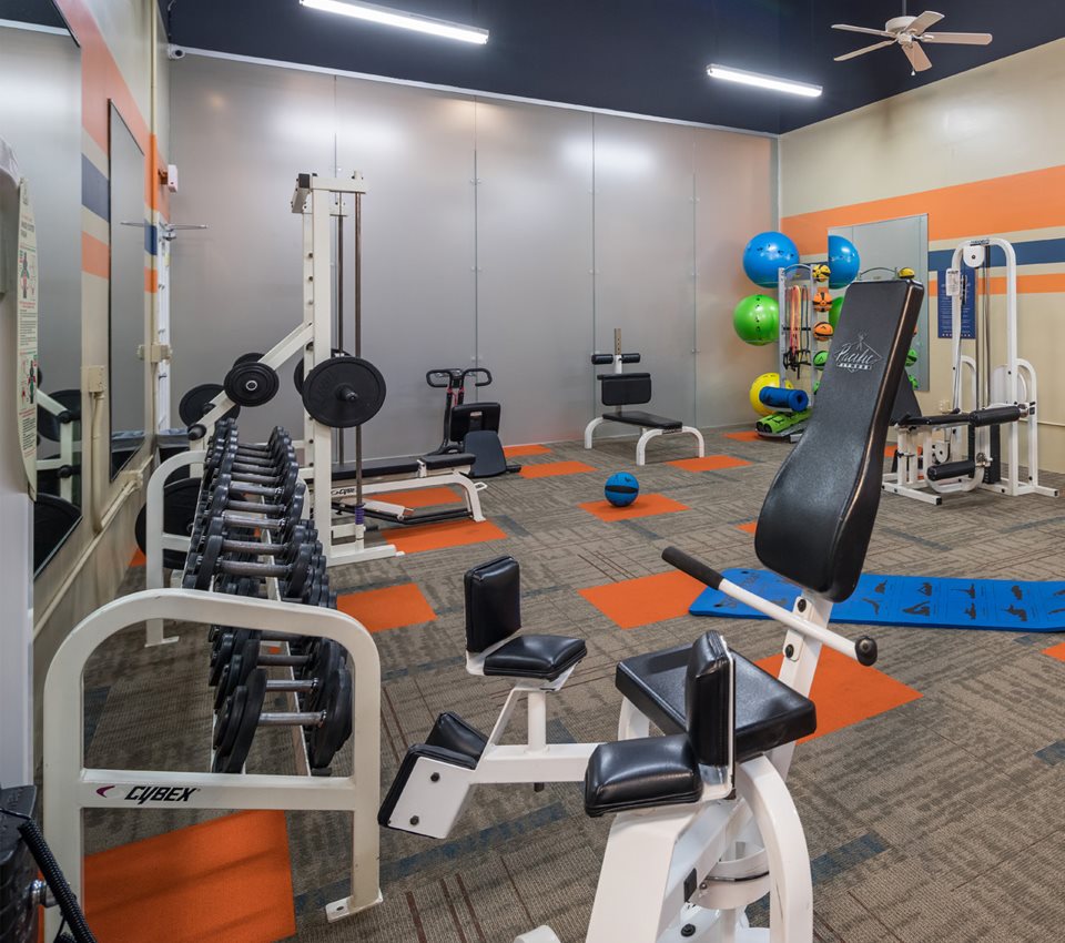 Springs at Alta Mesa Apartments in Mesa, AZ