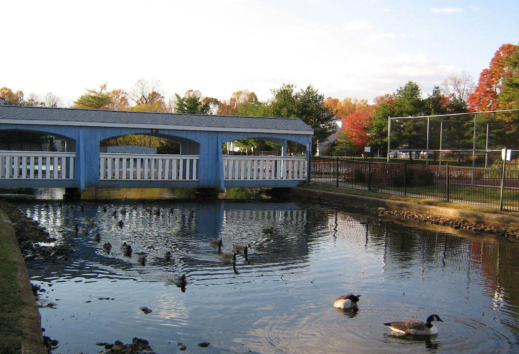 A blue bridge over a body of water with ducks swimming in it.