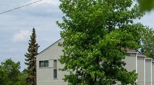1545 26th Street Studio Other for Rent - Photo Gallery 3