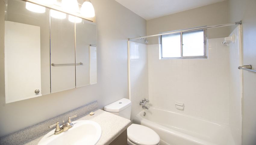 a bathroom with a sink toilet and bath tub and a mirror