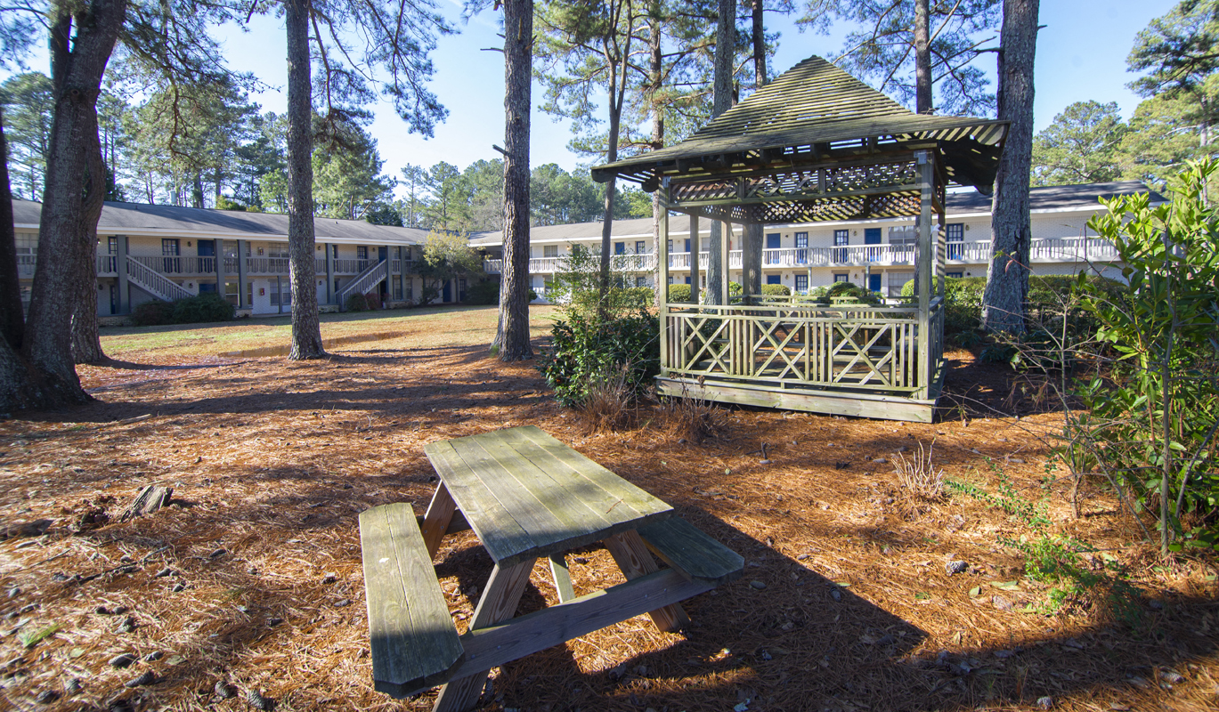 a picnic area with a gazebo and a picnic table
