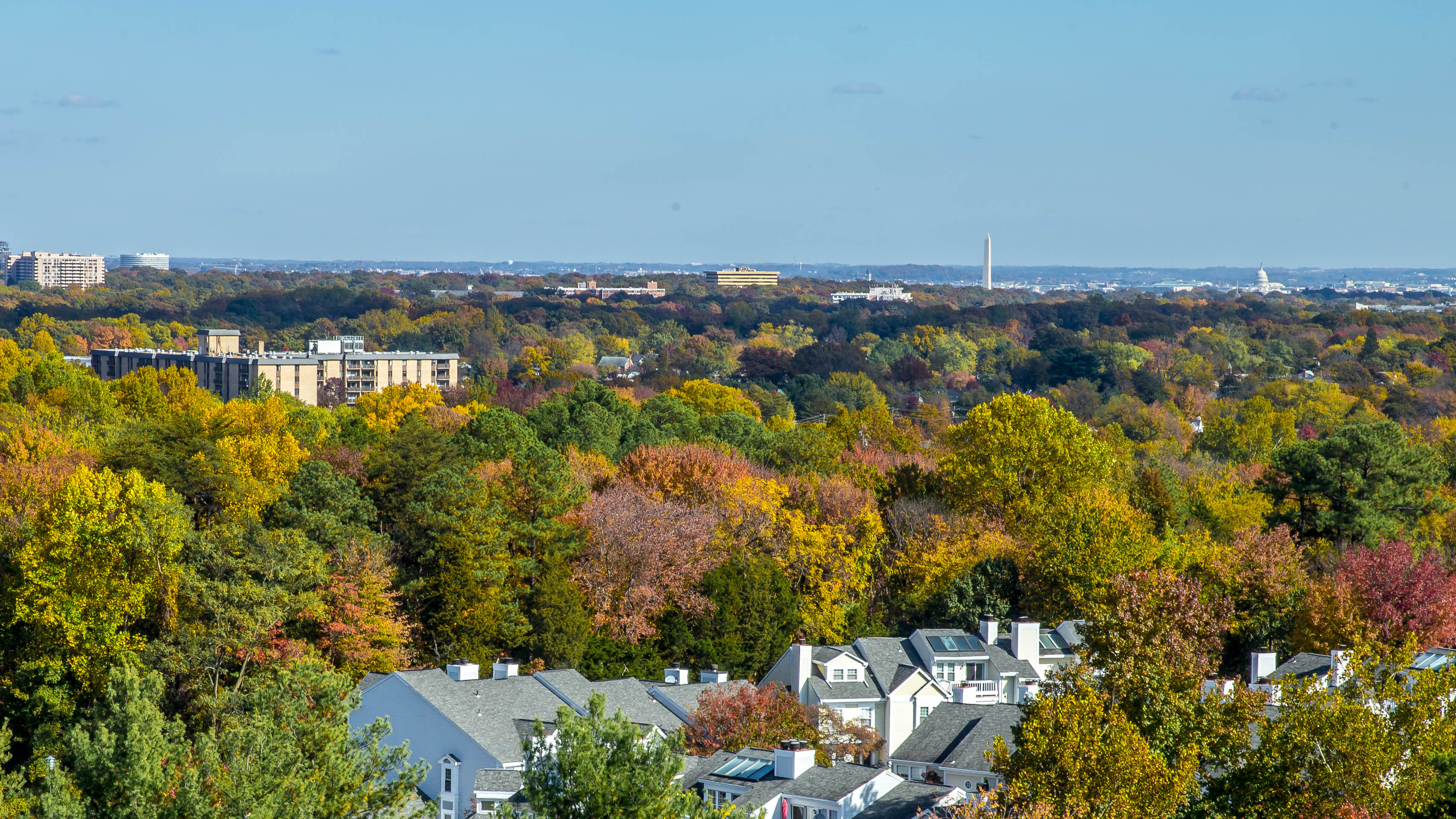 an aerial view of a city with trees and buildings